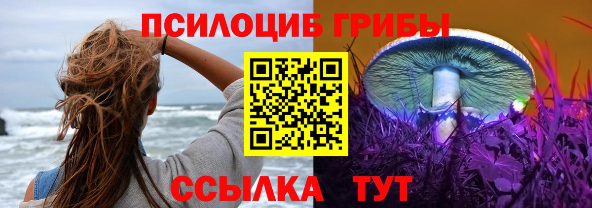 Псилоцибиновые грибы прущие грибы Берёзовский